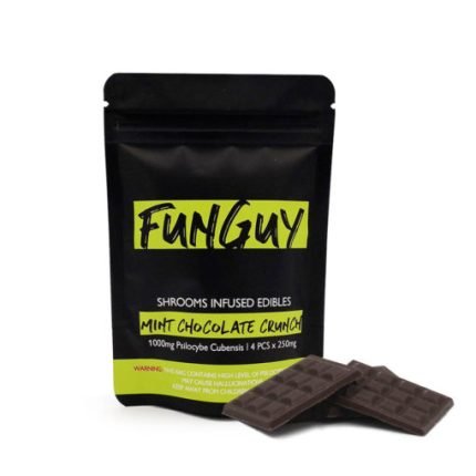 Barretta FunGuy Mint Chocolate Crunch in vendita online in Italia