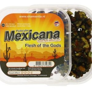 Tartufi Magici Mexicana in vendita online in Italia