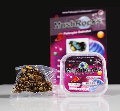 Tartufi Mushrocks in vendita online in Italia