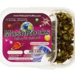 Tartufi Mushrocks in vendita online in Italia