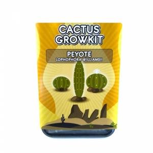 Kit di coltivazione del Peyote in vendita online in Italia